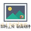 AMI3201高壓(yā)數字兆歐絕緣測試